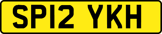 SP12YKH