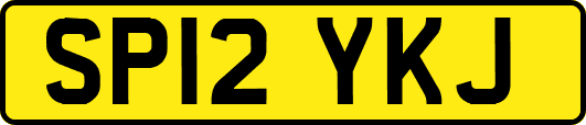SP12YKJ