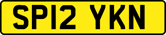 SP12YKN