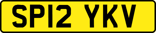 SP12YKV
