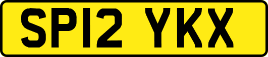 SP12YKX