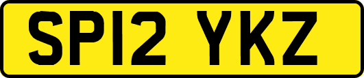 SP12YKZ