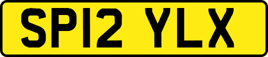 SP12YLX
