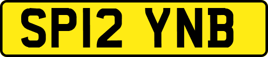 SP12YNB