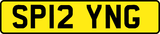 SP12YNG