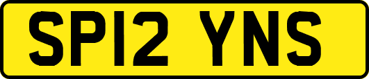 SP12YNS