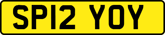 SP12YOY