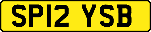 SP12YSB