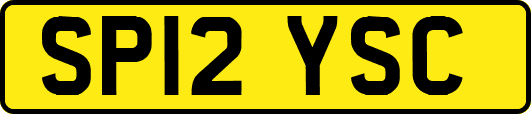 SP12YSC