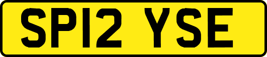 SP12YSE