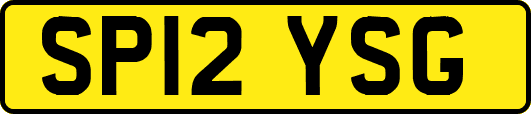 SP12YSG