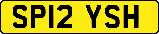 SP12YSH