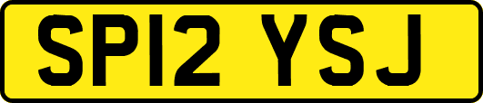 SP12YSJ