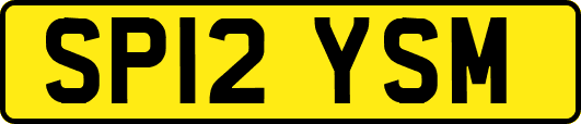 SP12YSM