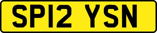 SP12YSN