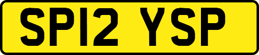 SP12YSP