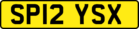 SP12YSX