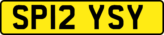 SP12YSY
