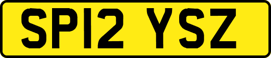 SP12YSZ