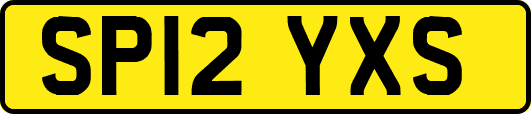 SP12YXS
