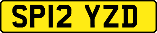 SP12YZD
