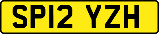 SP12YZH