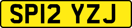 SP12YZJ
