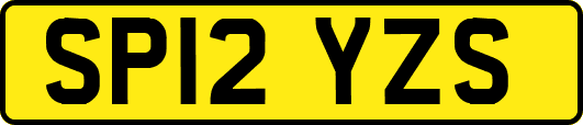 SP12YZS