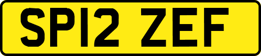 SP12ZEF