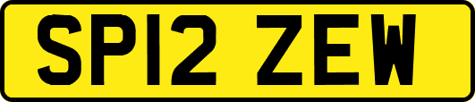 SP12ZEW