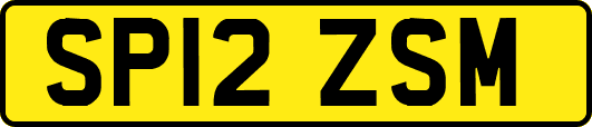 SP12ZSM