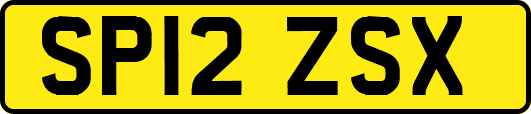 SP12ZSX
