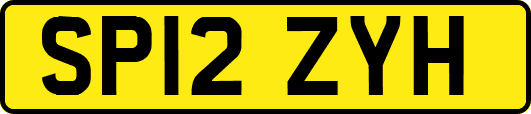 SP12ZYH