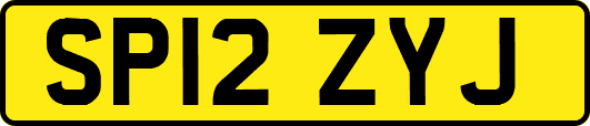 SP12ZYJ