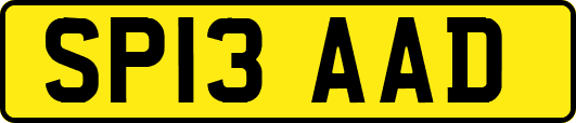 SP13AAD