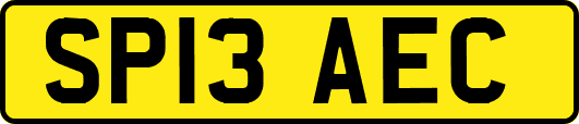 SP13AEC