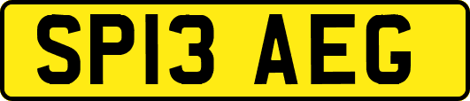SP13AEG
