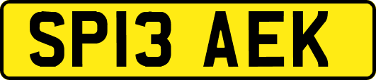 SP13AEK