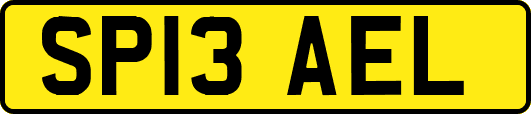 SP13AEL