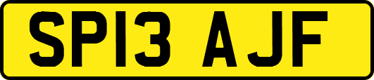 SP13AJF