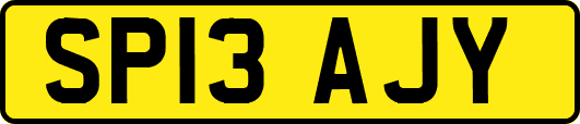 SP13AJY