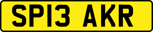 SP13AKR