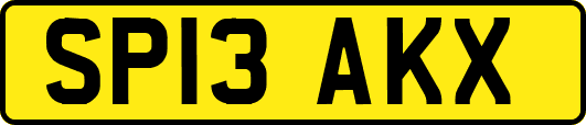 SP13AKX