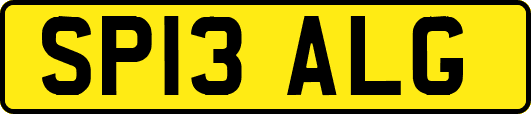 SP13ALG