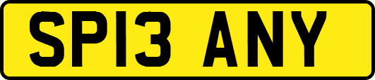 SP13ANY