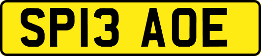 SP13AOE
