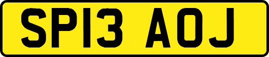 SP13AOJ