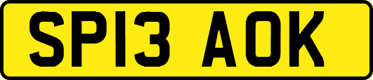SP13AOK