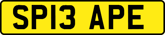 SP13APE