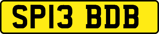 SP13BDB